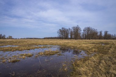 Köyün varoşlarında sel basmış bir alan. İlkbaharın başlarında kırsal alan. Köyün varoşlarında yüksek su. Kuru otlar sudan çıkar..