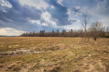 Sahada ilkbahar. Bulutların arasından gün ışığı. Ufukta orman görünüyor. Dramatik bulutlar. Tarlaları ve ağaçları olan bir manzara. Güneş ışıl ışıl parlıyor.