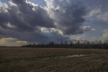 Sahada ilkbahar. Bulutların arasından gün ışığı. Ufukta orman görünüyor. Dramatik bulutlar. Tarlaları ve ağaçları olan manzara.