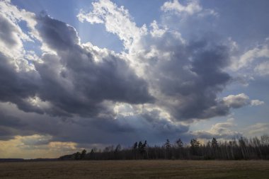 Sahada ilkbahar. Bulutların arasından gün ışığı. Ufukta orman görünüyor. Dramatik bulutlar. Tarlaları ve ağaçları olan manzara.