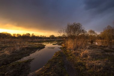 Kırsal alan. Ağaçlar, çalılar ve zemin batan güneşin ışınlarıyla aydınlatılır. Gökyüzü bulutlarla kaplı. Kurşun bulutlar suya yansıyor..