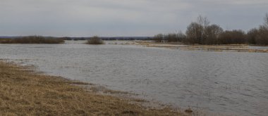 Su basmış bir arazinin manzarası. Gri bir bahar gökyüzü olan bulutlu bir günde. Nehir taşıyor. Kuru otlar sudan çıkar..