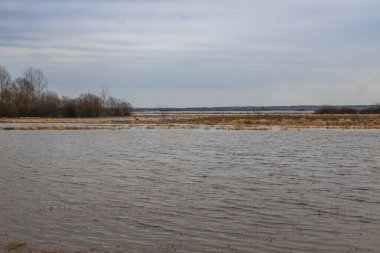 Su basmış bir arazinin manzarası. Gri bir bahar gökyüzü olan bulutlu bir günde. Nehir taşıyor. Kuru otlar sudan çıkar..