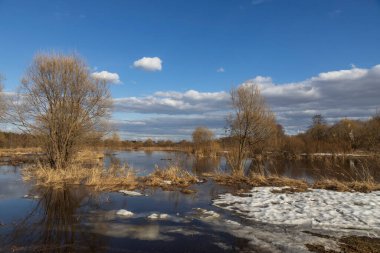 Bahar günü nehir taşar. Kuru çimenler karın altından görülebilir. Arazi suyla doldu..