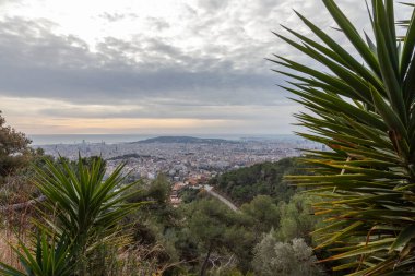 Tibidabo Dağı 'ndan Barselona Panoraması. Barselona 'da sabahın erken saatlerinde. Şehre bakan manzara manzarası. Ön planda bir kaktüsün yeşil yaprakları var..