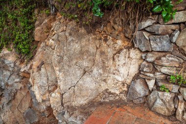 Taşta çatlaklar var. Şehirdeki taş duvarda bitkiler var.