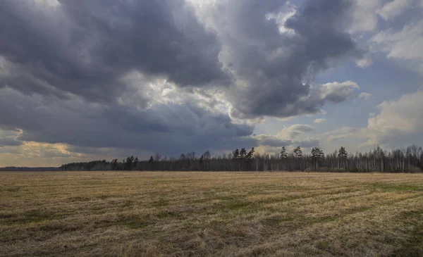 Early spring in the field. Sunlight through the clouds. Forest on the horizon. Dramatic clouds. Landscape with a field and trees.