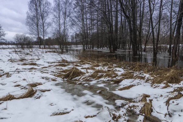 Vorfrühling Der Fluss Ist Überflutet Trockenes Gras Ist Vom Schnee — Stockfoto
