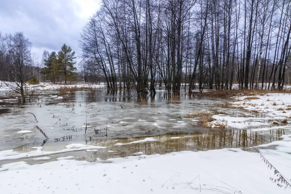 Vorfrühling Der Fluss Ist Überflutet Trockenes Gras Ist Vom Schnee — Stockfoto