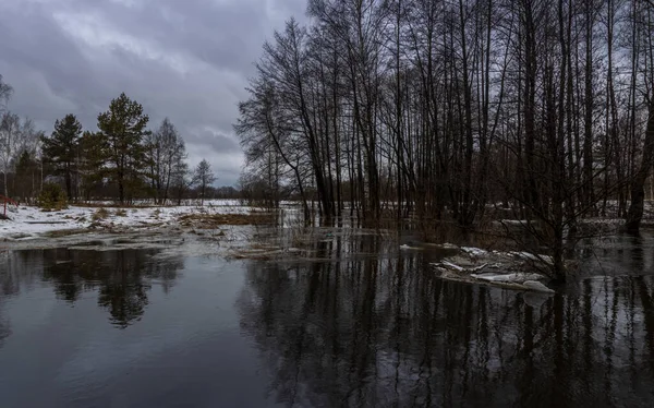 Весна Река Потопе Затопленная Трава Прошлогодняя Трава Воде Водный Лёд — стоковое фото