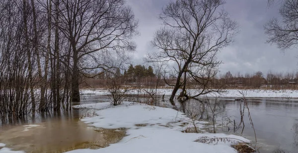 Vordergrund Schmelzender Schnee Vorfrühling Der Fluss Tritt Über Die Ufer — Stockfoto