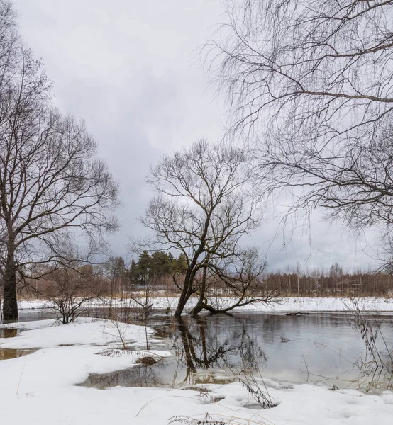 Vorfrühling Der Fluss Ist Überflutet Trockenes Gras Ist Unter Schnee — Stockfoto