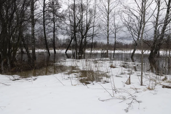 Vordergrund Schmelzender Schnee Vorfrühling Der Fluss Ist Überflutet Trockenes Gras — Stockfoto