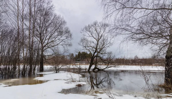 Vorfrühling Der Fluss Ist Überflutet Trockenes Gras Ist Unter Schnee — Stockfoto