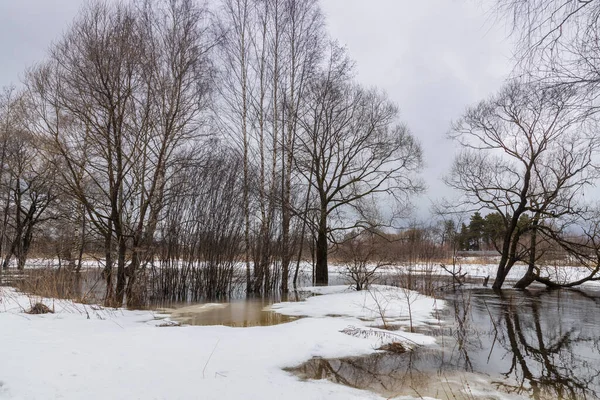 Springfluten Fließen Flussflut Vor Dem Hintergrund Der Landschaft Der Fluss — Stockfoto