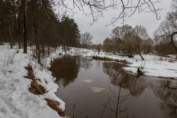 Bewölkter Frühlingstag Fluss Vorfrühling Kiefern Ufer Des Flusses Schnee Schmilzt — Stockfoto