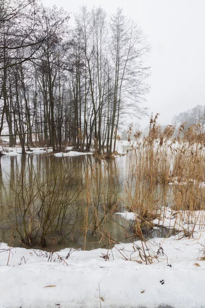 Fog over the water. Cloudy spring day by the river. Early spring, the river is in flood. Trees and bushes on the banks of the river.