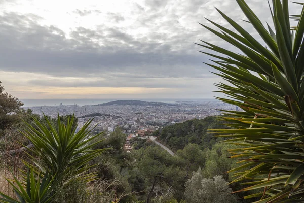 Панорама Барселоны Горы Тибидабо Ранним Утром Барселоне Пейзаж Видом Город — стоковое фото