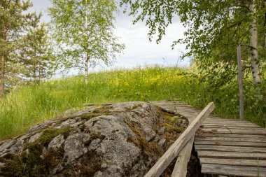 Gölün yanındaki ormanda yaz manzarası. Turist yolunda büyük bir taş var. Yosun kaplı taş.