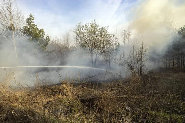 Sacco Fumo Incendi Primaverili Nella Foresta Erba Secca Che Brucia — Foto Stock