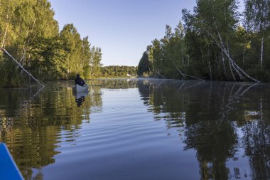 Nehirli yaz manzarası. Sabah erkenden. Nehirde güzel bir gün doğumu.