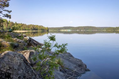 Göle bakan yaz manzarası. Gölde güneşli bir sabah. Rezervuarı olan resim gibi bir manzara..
