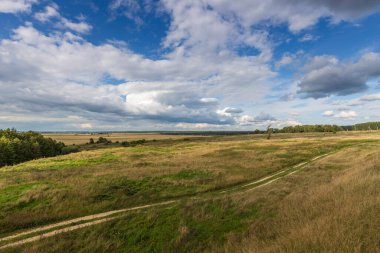Yaz tarlası ve mavi gökyüzündeki bulutlar. Parlak yeşil bir tarlası ve mavi gökyüzüne karşı dramatik bulutları olan bir manzara..