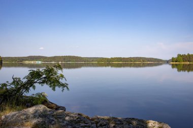 Göle bakan yaz manzarası. Gölde güneşli bir sabah. Rezervuarı olan resim gibi bir manzara..