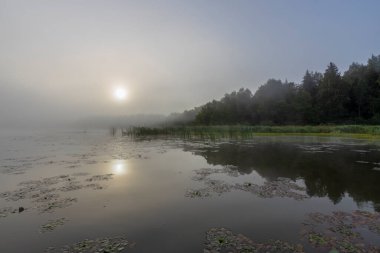 Nehirde sis var. Şafak vakti mistik manzara. Sabah erkenden. Yazın güzel şafak vakti nehir kenarında. Sabahın erken saatlerinde manzara manzarası.