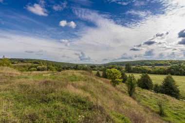 Yaz tarlası ve mavi gökyüzündeki bulutlar. Parlak yeşil bir tarlası ve mavi gökyüzüne karşı dramatik bulutları olan bir manzara..