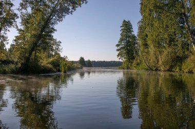 Sabahın erken saatlerinde nehirde. Ağaçlarda güneş ışığı. Şafakta tekneden su manzarası. Nehir gezisi.