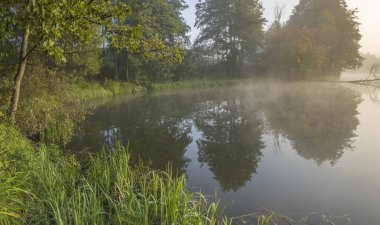 Sudaki sis, orman siluetleri ve yükselen güneşin ışınları. Şafakta sessiz ve sisli göl. Ön planda yaprakları olan ağaç dalları