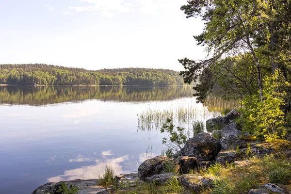 Göle bakan yaz manzarası. Gölde güneşli bir sabah. Rezervuarı olan resim gibi bir manzara..