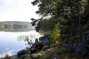 Göle bakan yaz manzarası. Gölde güneşli bir sabah. Rezervuarı olan resim gibi bir manzara..