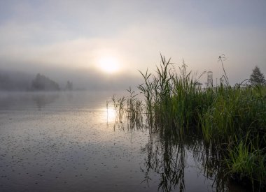 Sabah erkenden. Nehirde sis var. Yazın güzel bir gün doğumu. Nehir kenarında. Yaz sabahının erken saatlerinde şafakta..