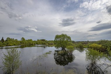 Nehre çarpıcı bir gökyüzü yansıyan manzara. Baharın başlarında, sulu mayıs yeşillikleri. Ağaçlar ve çalılar üzerinde parlak yeşil yapraklar.