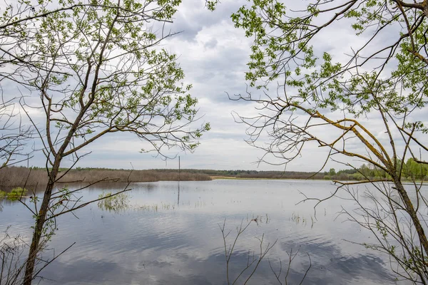 Nehre çarpıcı bir gökyüzü yansıyan manzara. Baharın başlarında, sulu mayıs yeşillikleri. Ağaçlar ve çalılar üzerinde parlak yeşil yapraklar.