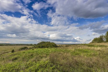 Yaz tarlası ve mavi gökyüzündeki bulutlar. Parlak yeşil bir tarlası ve mavi gökyüzüne karşı dramatik bulutları olan bir manzara..