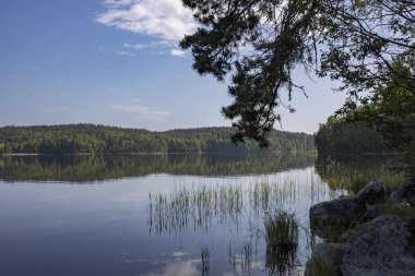 Göle bakan yaz manzarası. Gölde güneşli bir sabah. Rezervuarı olan resim gibi bir manzara..