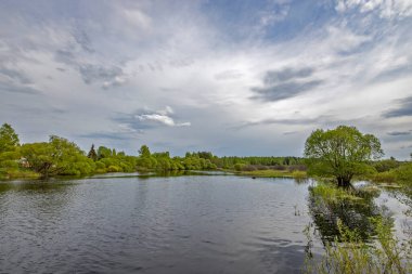 Nehre çarpıcı bir gökyüzü yansıyan manzara. Baharın başlarında, sulu mayıs yeşillikleri. Ağaçlar ve çalılar üzerinde parlak yeşil yapraklar.
