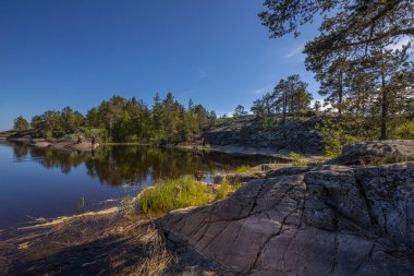 Göl üzerinde taşlarla kaplı bir orman manzarası. Gölde güneşli bir gün. Suyun içindeki gökyüzünün yansıması. Taş üstünde çam. Kuzeyin doğası.. 