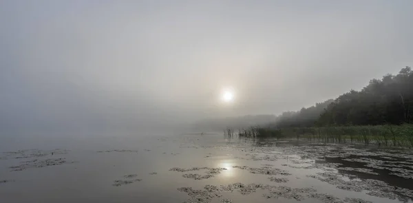 Туман Реке Мистический Пейзаж Рассвете Рано Утром Прекрасный Рассвет Летом — стоковое фото