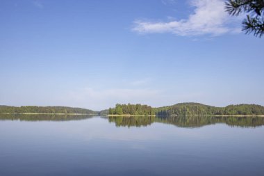 Göle bakan yaz manzarası. Gölde güneşli bir sabah. Rezervuarı olan resim gibi bir manzara..