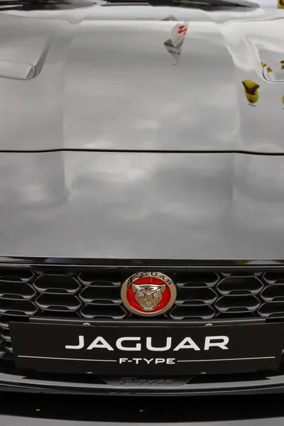 Sao Paulo Brasilien 2020 Jaguar Type Coupé Frontansicht Zweisitziger Sportwagen — Stockfoto