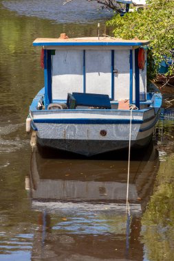 Tekneler Brezilya 'nın Sao Paulo eyaleti Guaruja, Pereque köyü yakınlarındaki bir mangrovda demirledi.