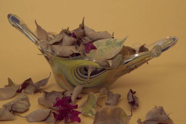 Sarı arka planda kurumuş aromatik yapraklı cam kavanozu kapat..