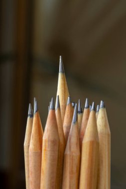 a pencil standing out from many others. Leadership, exclusivity, independence, initiative, strategy, dissent, think differently, business success concept. Selective focus clipart