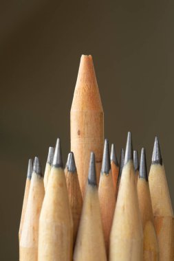 Diğerlerinden farklı olarak göze çarpan bir kalem. Liderlik, ayrıcalık, bağımsızlık, inisiyatif, strateji, muhalefet, farklı düşün, ticari başarı kavramı. Seçici odak