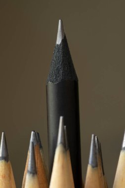 Diğerlerinden farklı olarak göze çarpan bir kalem. Liderlik, ayrıcalık, bağımsızlık, inisiyatif, strateji, muhalefet, farklı düşün, ticari başarı kavramı. Seçici odak