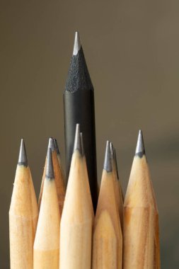 Diğerlerinden farklı olarak göze çarpan bir kalem. Liderlik, ayrıcalık, bağımsızlık, inisiyatif, strateji, muhalefet, farklı düşün, ticari başarı kavramı. Seçici odak